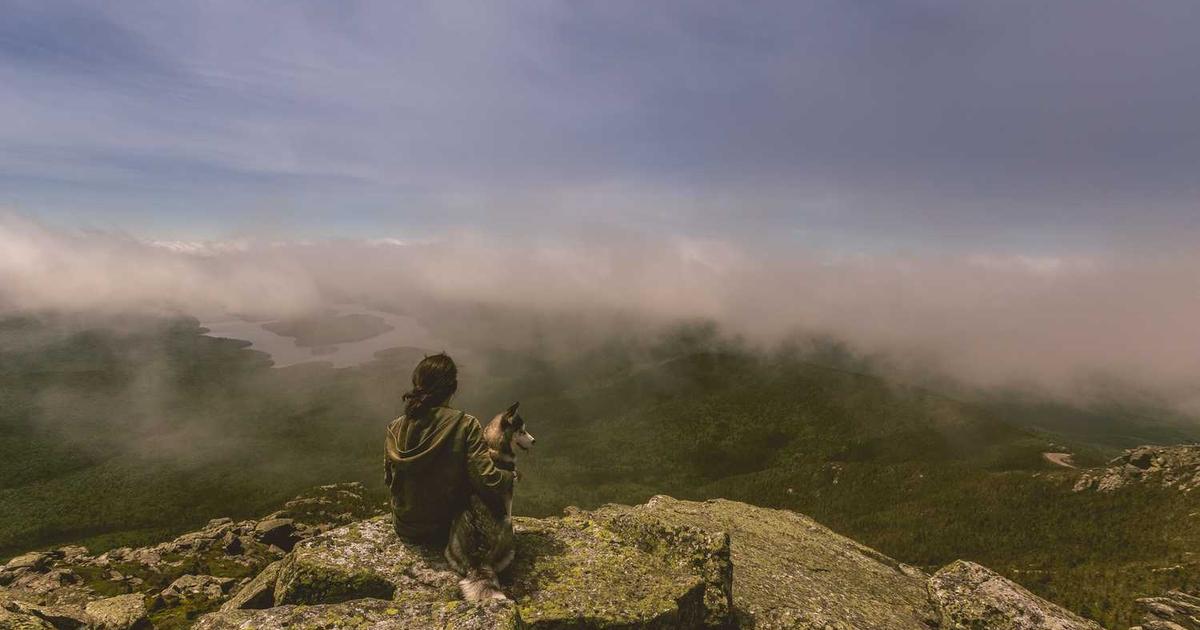 Debt Collection for Small Business: When to DIY vs. Hire an Agency