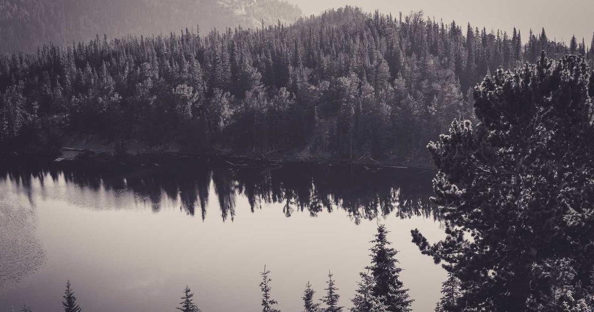 Free Invoice Template: Your Complete Guide to Professional Invoicing at Zero Cost