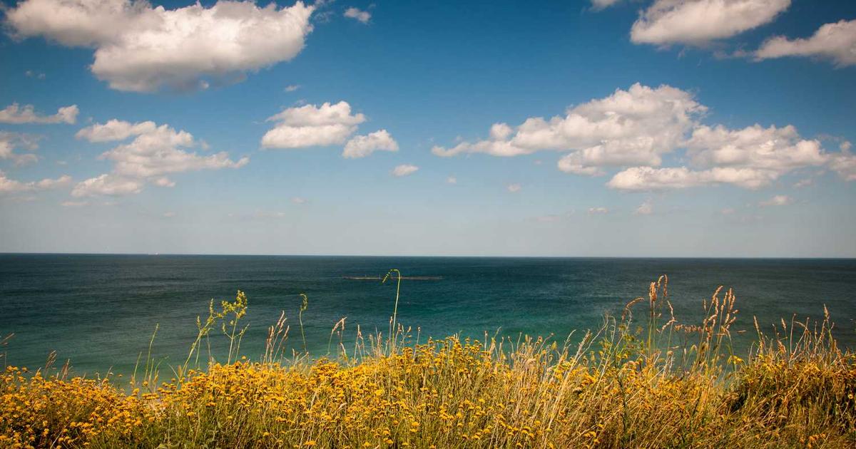 Milestone Billing Invoice Template: Structure Large Projects for Predictable Cash Flow